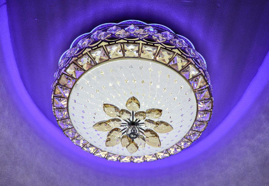 Peacock Chandelier Ceiling Lights 5002-400 Round With Bluetooth